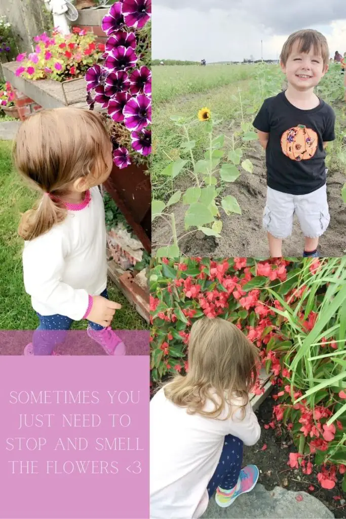 a little girl smelling flowers in 2 pictures and a little boy smiling next to a sunflower they are in nature finding affordable decorating options like flowers