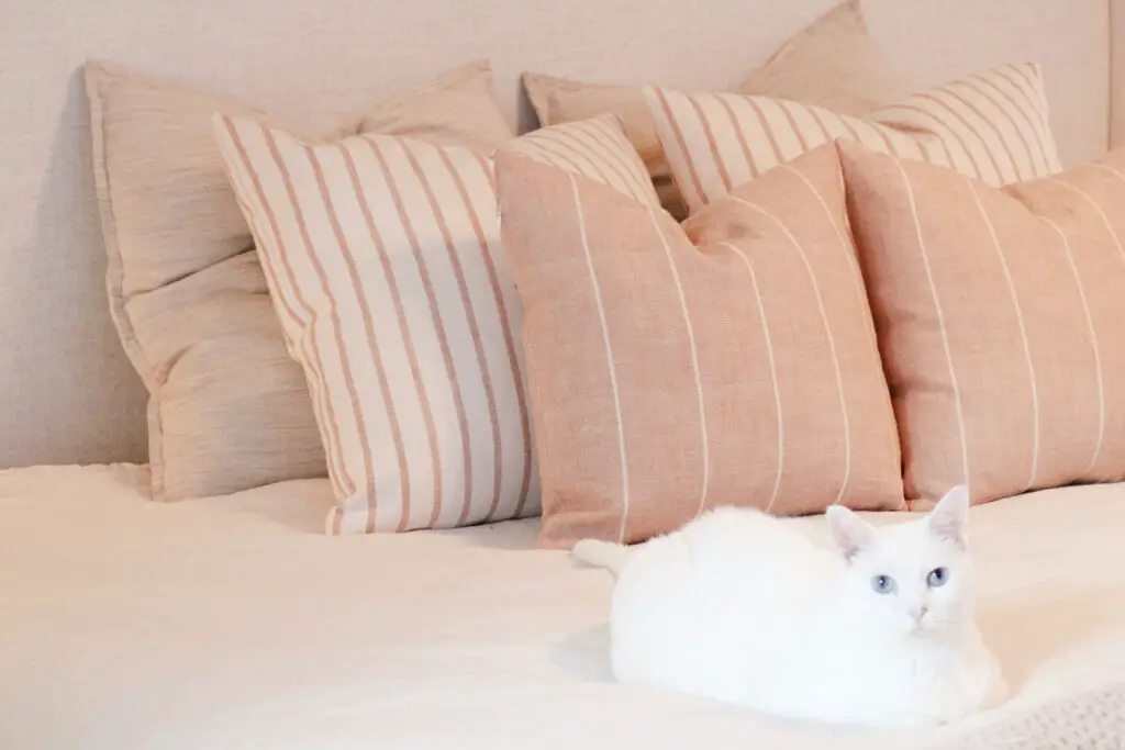 Close up of a white cat on a linen kind bed with striped orange and white throw pillows