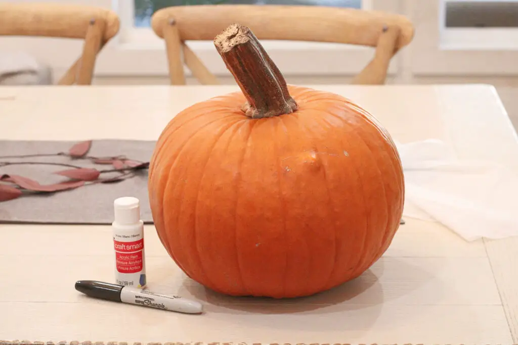 Close up of a orange real pumpkin, a bottle of white paint, and a black sharpie marker on a white table